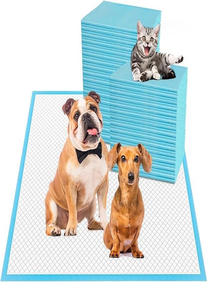 KsPups 6 Layers Heavy Absorbent XL 60*90" Pet Training Dog Pee Pads, Large Polymer Leak-Proof Quick Dry Puppy Pee Pads, Disposable Pee Pads for Dogs Cats Rabbit I Pack Of-10 PCS - Image 1